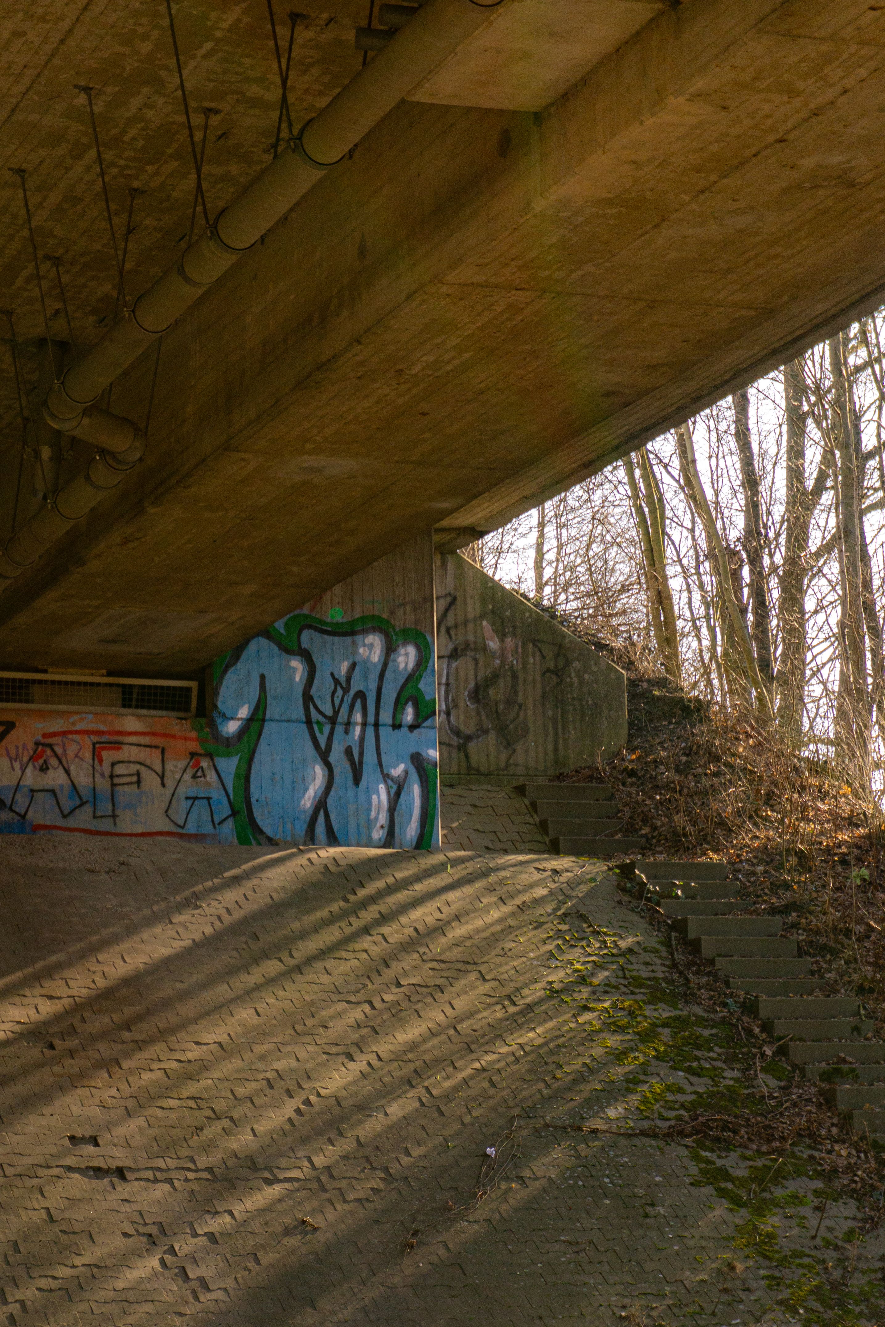 Entfernung von Graffiti und Verunreinigungen – professionelle Reinigung