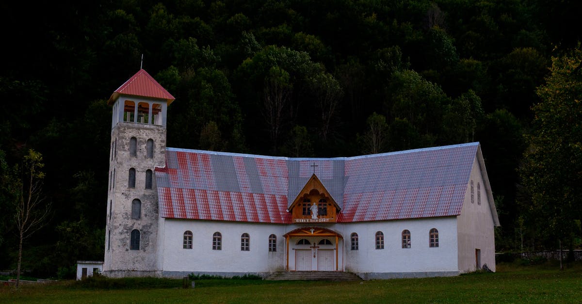 遊客排長龍打卡 青島「孤獨的樹」不孤獨