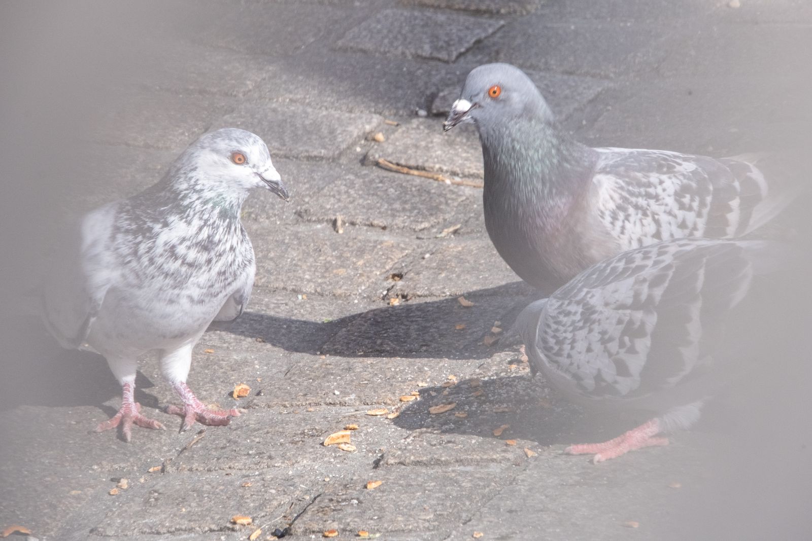 La rencontre