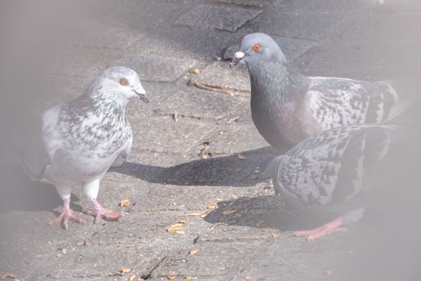 La rencontre