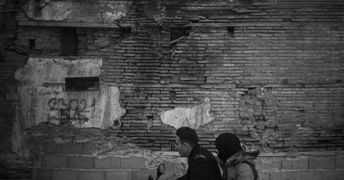 國際寵物日!帶毛孩搭北捷,享受親密旅程