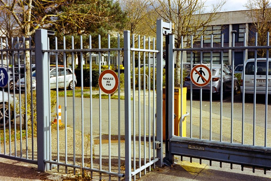 Antreprenori din Gorj care au dezvoltat afaceri de succes în sectorul de prelucrare a lemnului