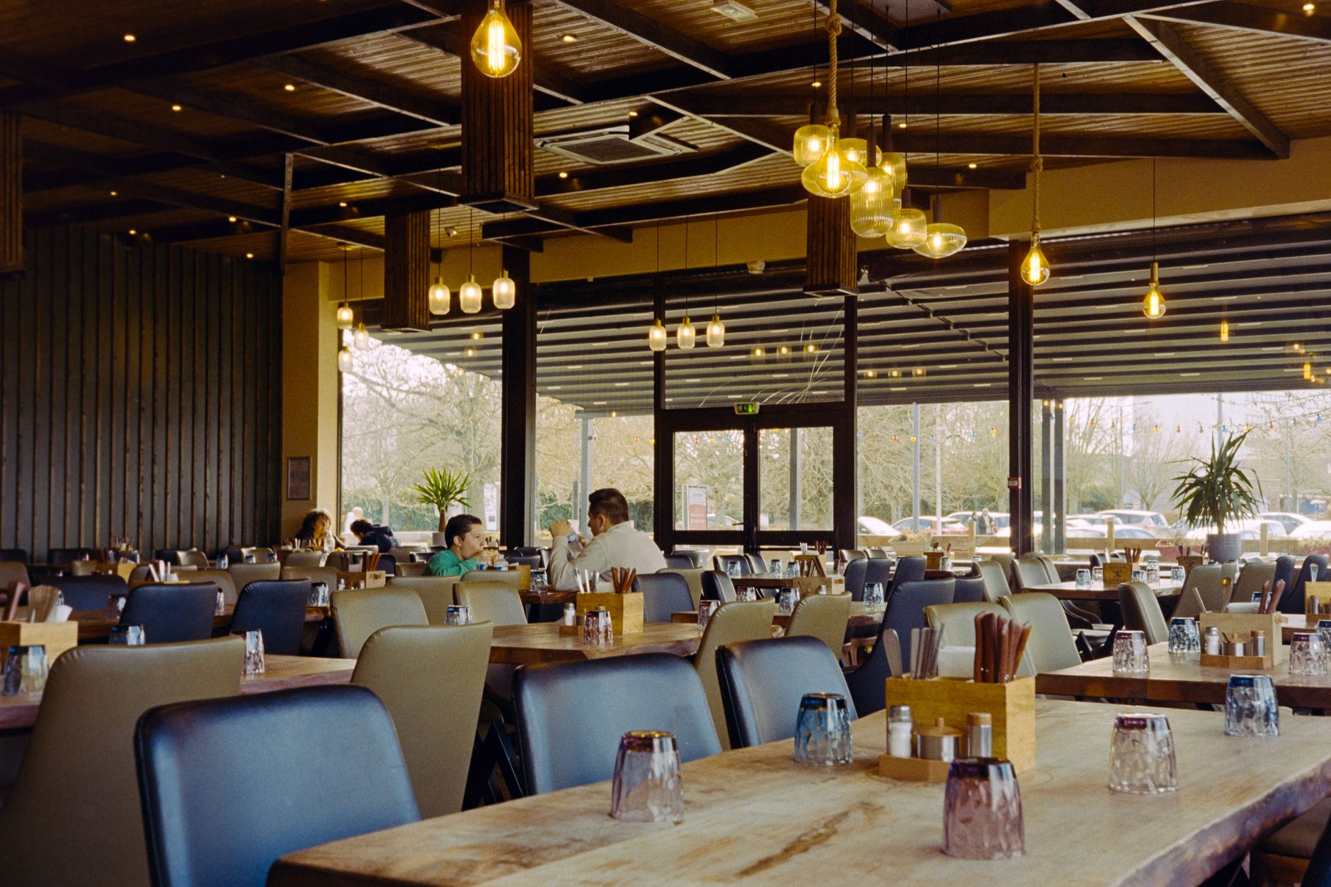 Wide interior of a cozy modern bistro with hanging plants, wooden tables, warm pendant lighting, and large windows.