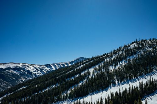 Free Scenic view of snow-covered mountains and evergreen trees under a clear blue sky, showcasing winter beauty. Stock Photo
