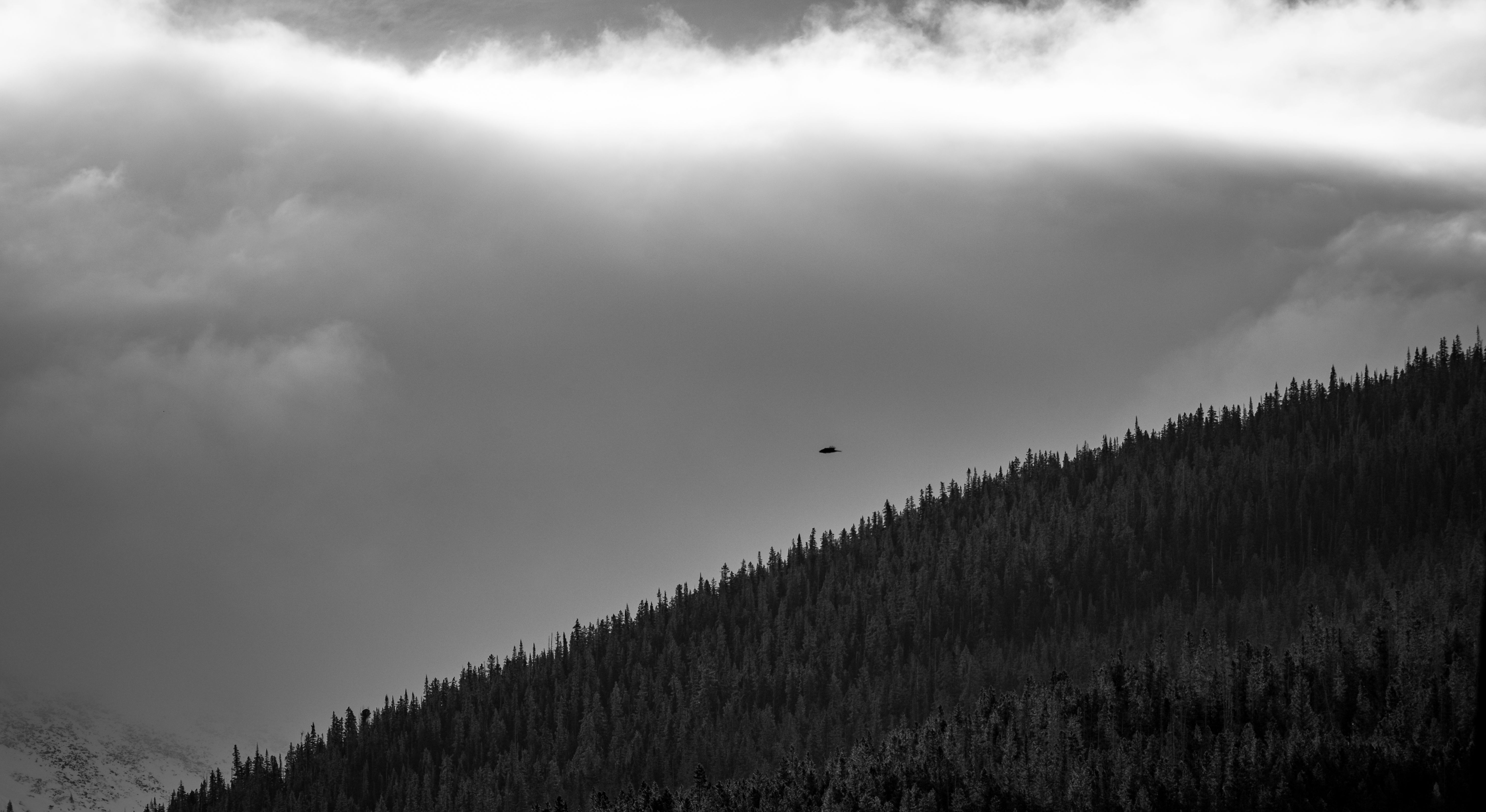 Dramatic Black and White Mountain Landscape · Free Stock Photo