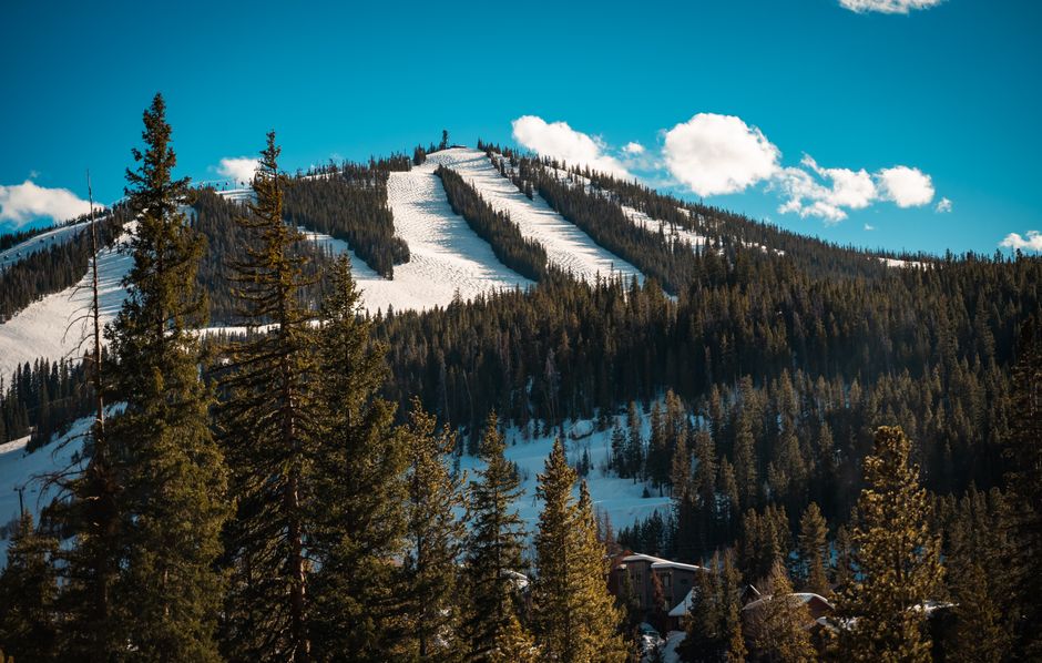 Beautiful winter landscape featuring a snow-covered ski slope surrounded by pine trees under a bright blue sky.