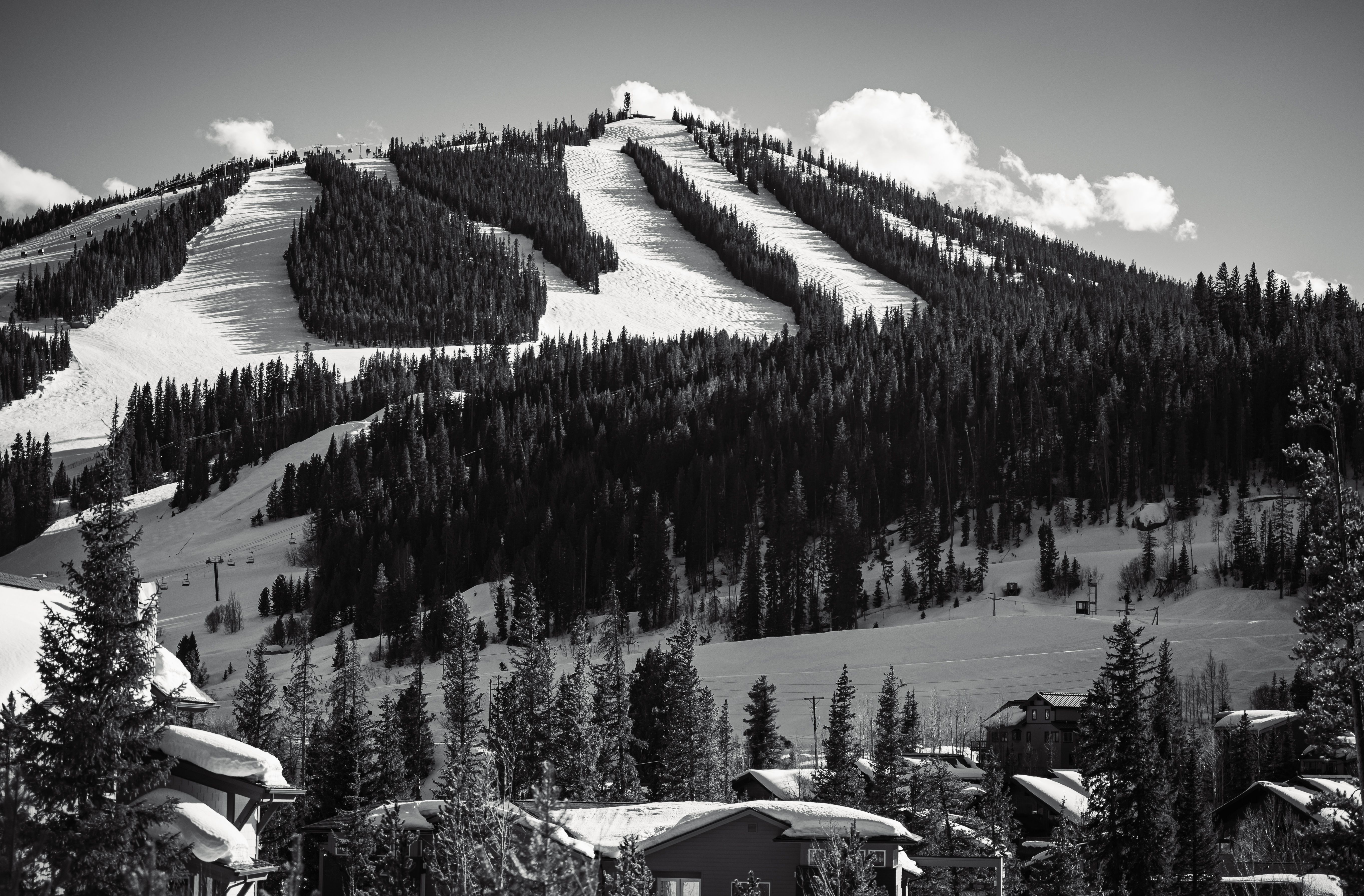Monochrome view of a snow-covered ski resort with evergreen trees and clear skies.