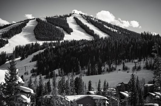 ski areas colorado