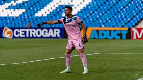 Free Goalkeeper wearing pink uniform directs teammates during a match. Stock Photo