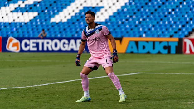 Goalkeeper in action during a soccer match, wearing pink uniform and ready to defend the goal.
