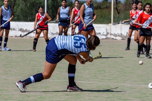 Free Action shot of a women's field hockey game outdoors under daylight. Stock Photo