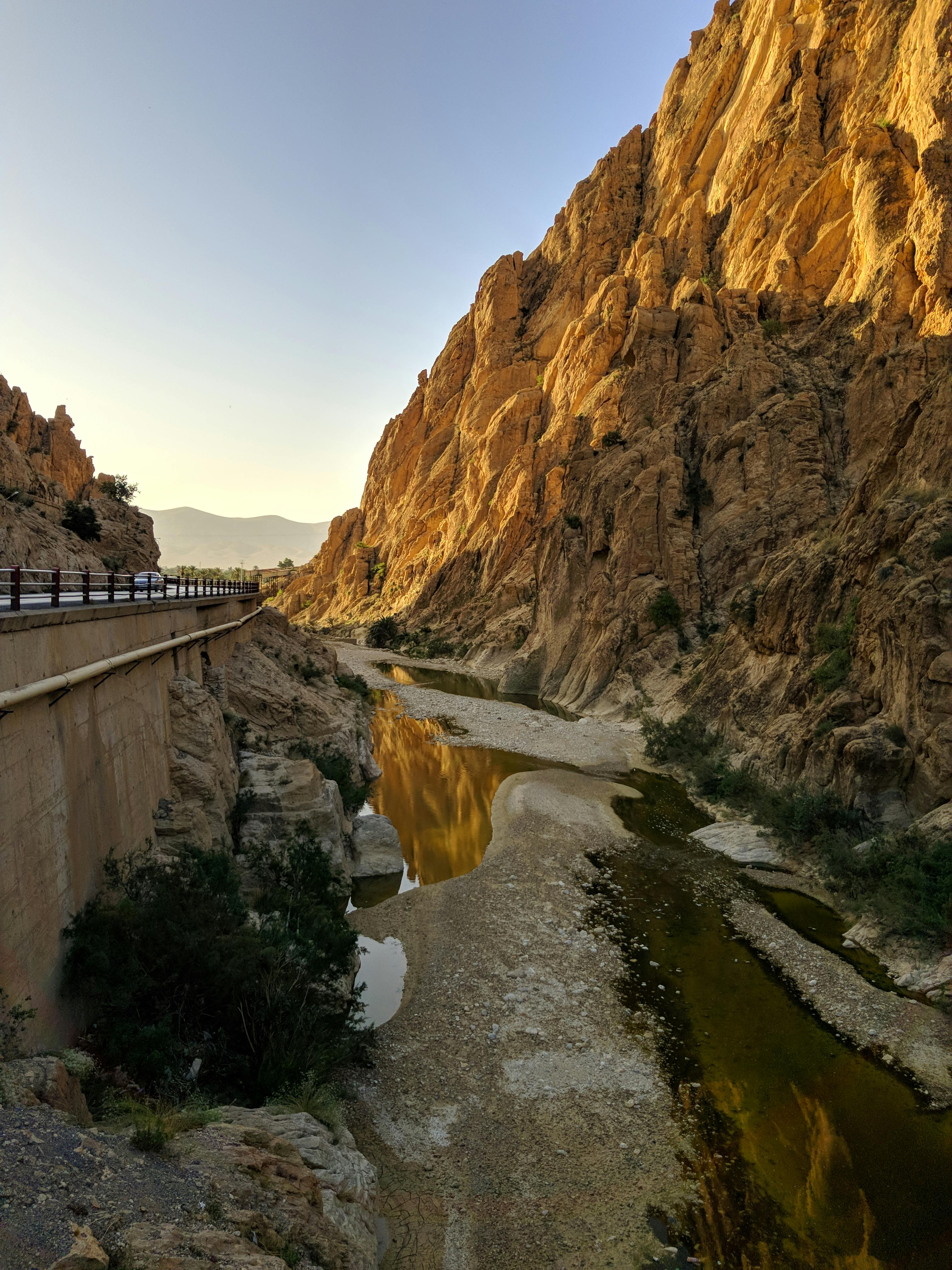 Free stock photo of algeria, android, biskra