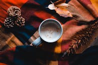 一杯温暖的咖啡，放在松果和树叶的格子毯子上，唤起了秋天的共鸣