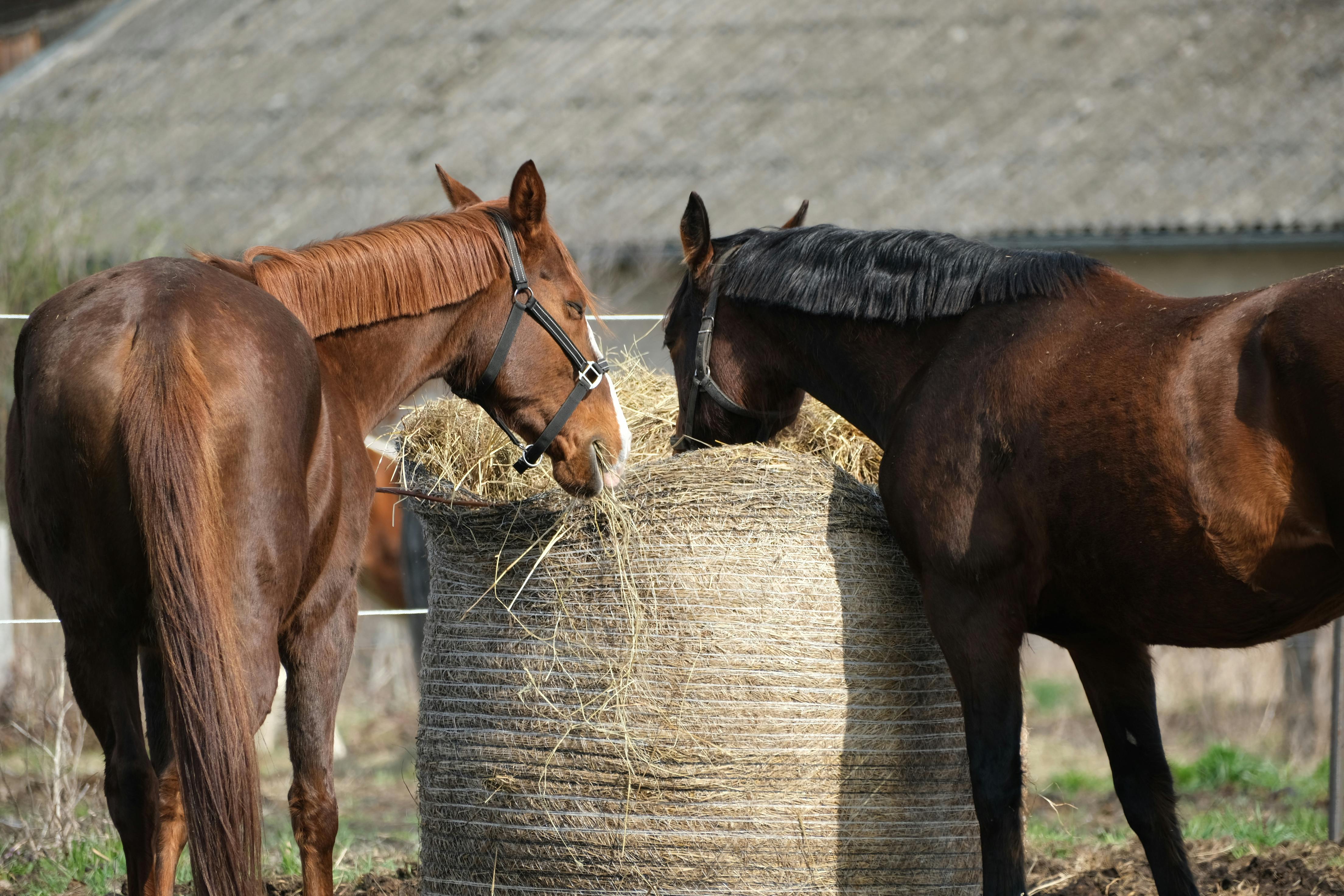Image : Schluss mit schlafendem Geld! 7 bewährte Investment-Strategien, die dein Vermögen WIRKLICH aufwecken (für Einsteiger & Profis)