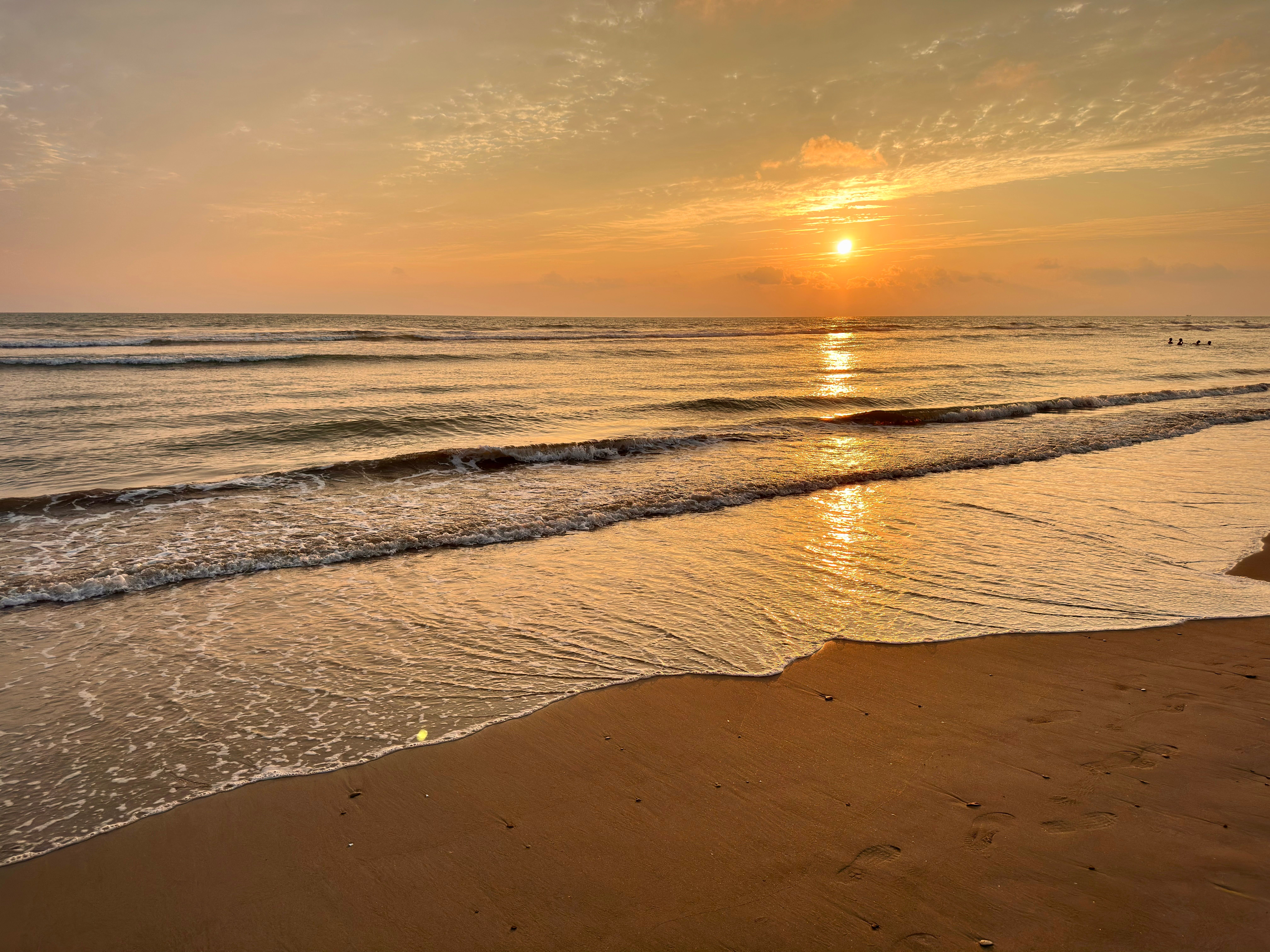 Golden Sunset Over Cox's Bazar Beach · Free Stock Photo