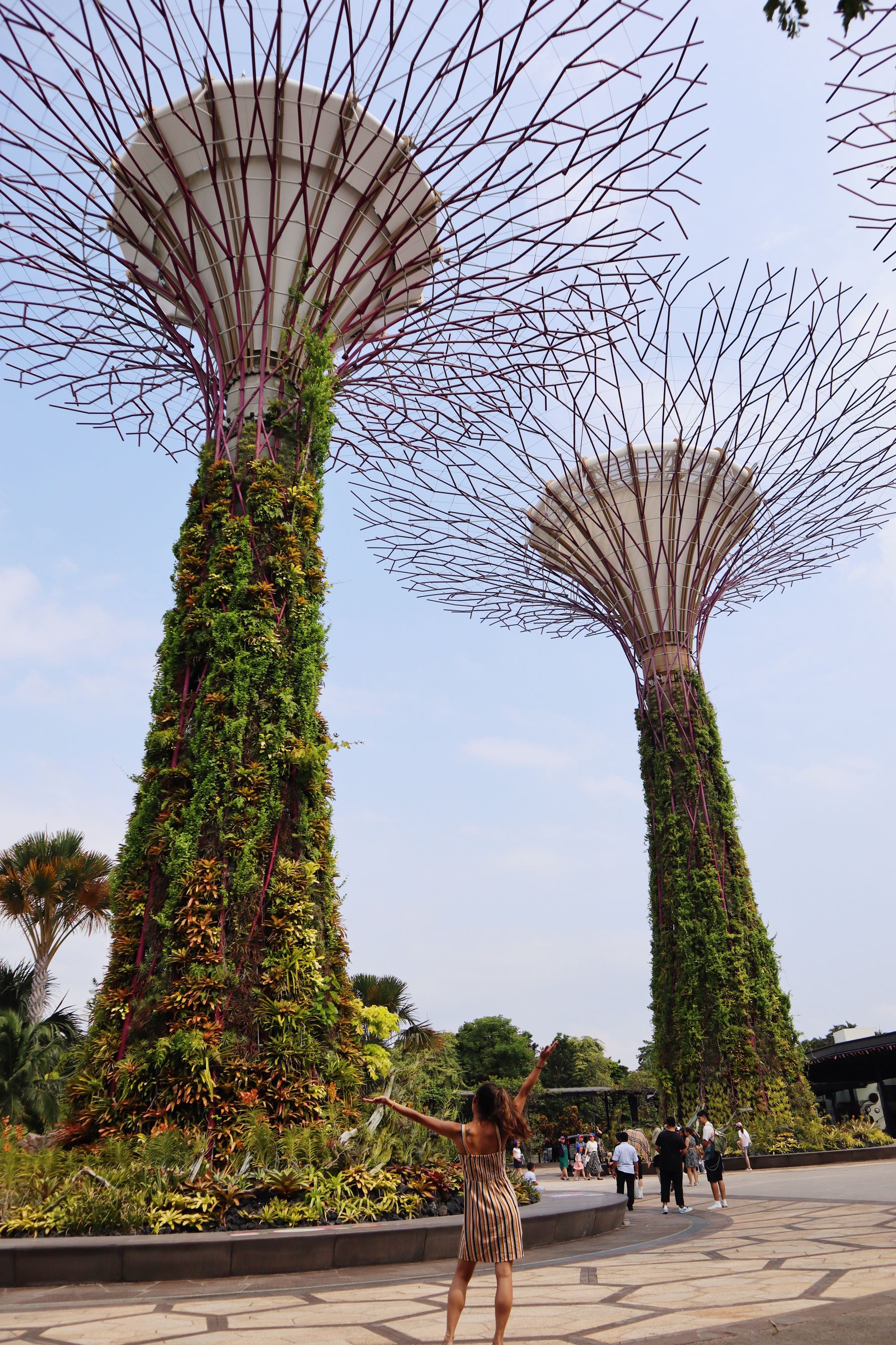 Travelers walking beneath giant Supertrees at Gardens by the Bay