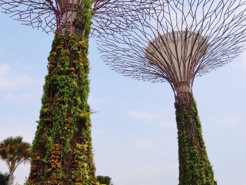 Marina Bay Sands