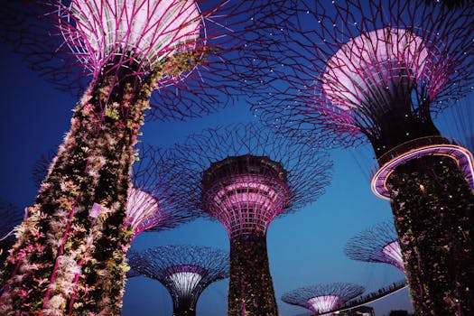 Captivating nighttime shot of the illuminated Supertree Grove in Singapore's Gardens by the Bay.