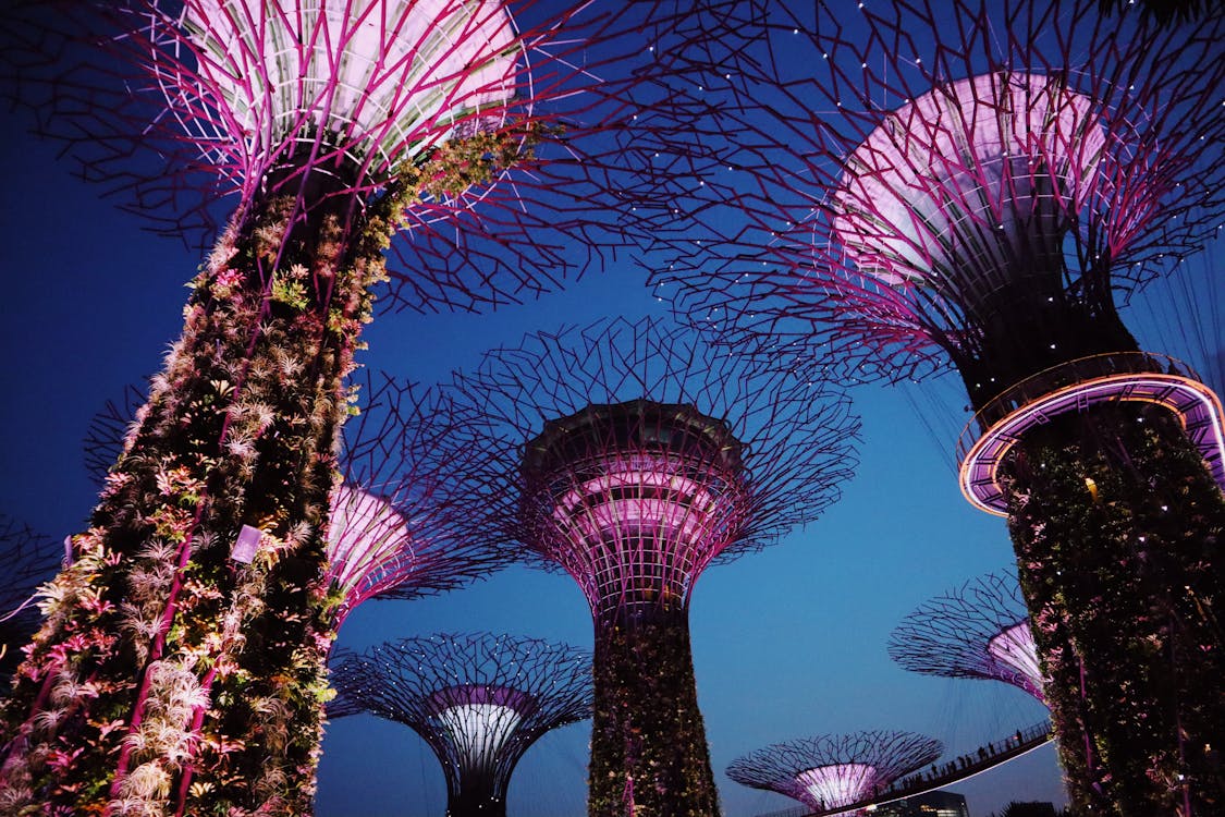 Free Low-angle Photography of Gardens by the Bay Stock Photo