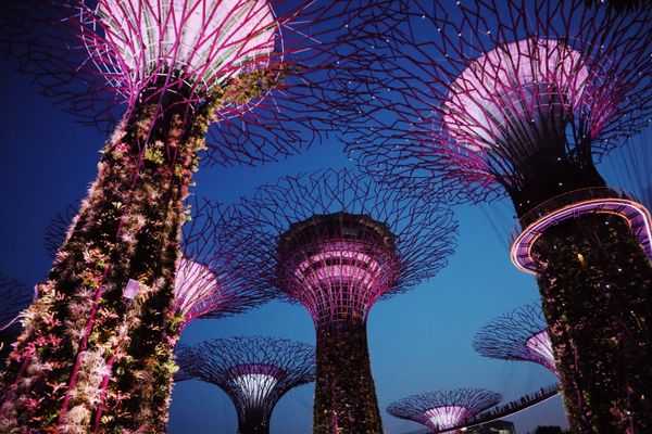 Singapore Night View