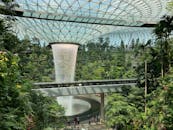 宏伟的室内瀑布设置在宝石樟宜郁郁葱葱的绿色植物中，这是新加坡的标志性建筑奇迹