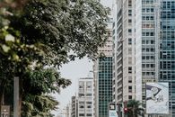当代城市街道两旁，高大的现代摩天大楼与郁郁葱葱的树木交相辉映