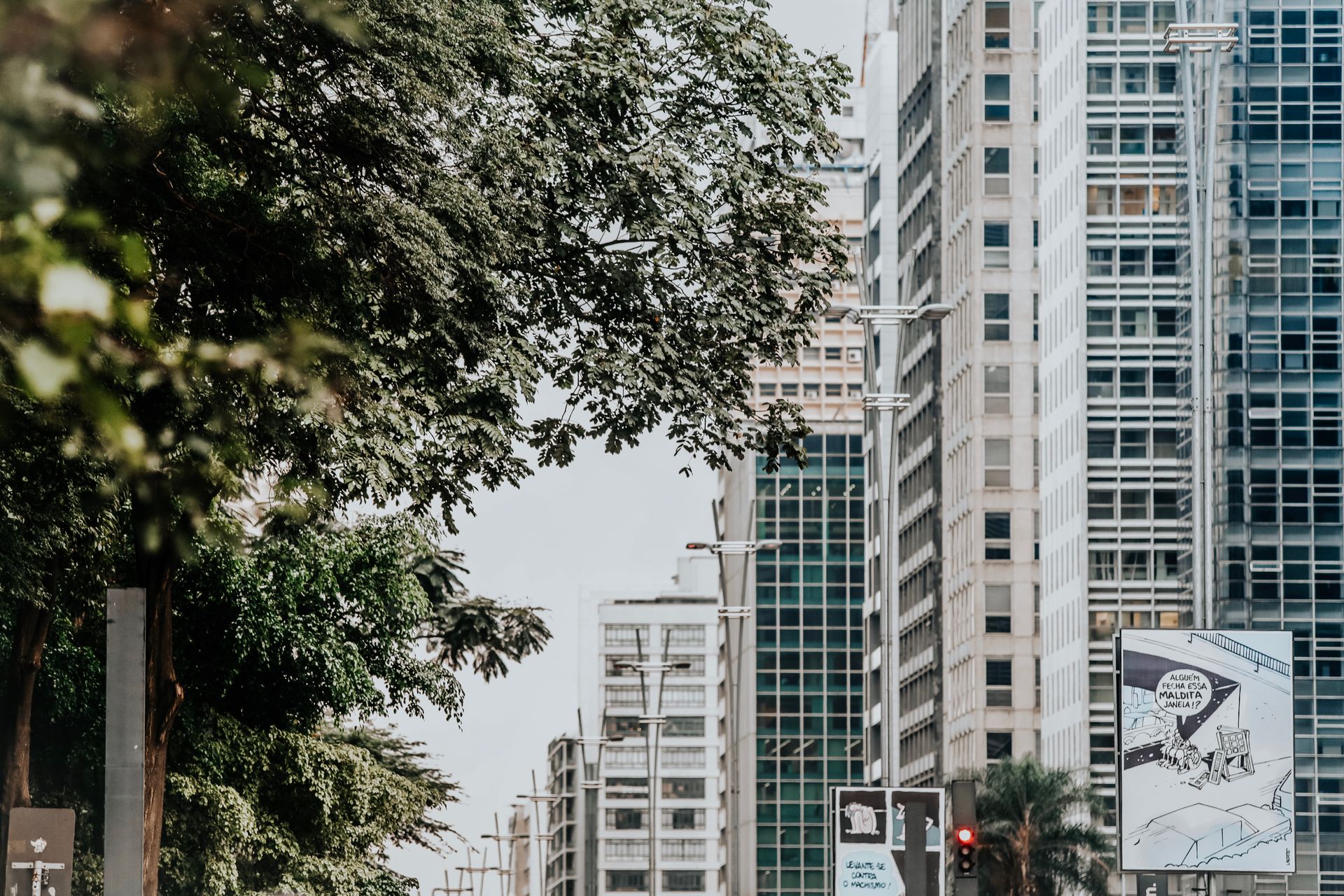 View of a contemporary urban street lined with tall modern skyscrapers and lush trees.