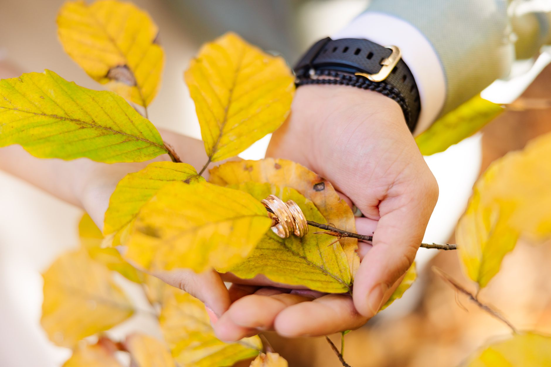Autumn Elegance: Unveiling GTA's Most Breathtaking Fall Photography Locations for Your Luxury Wedding