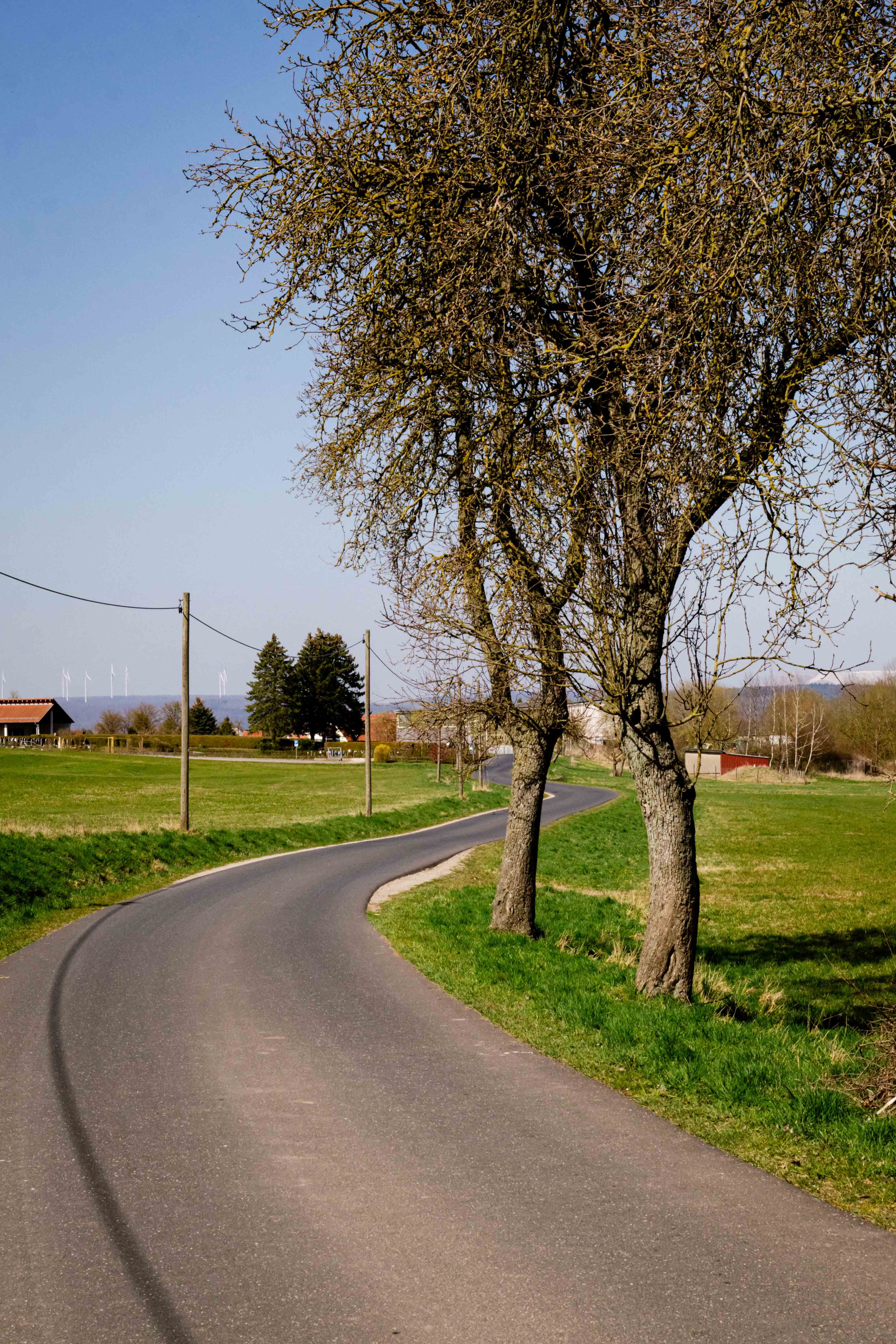 Scenic Country Road with Trees in Rural Landscape · Free Stock Photo