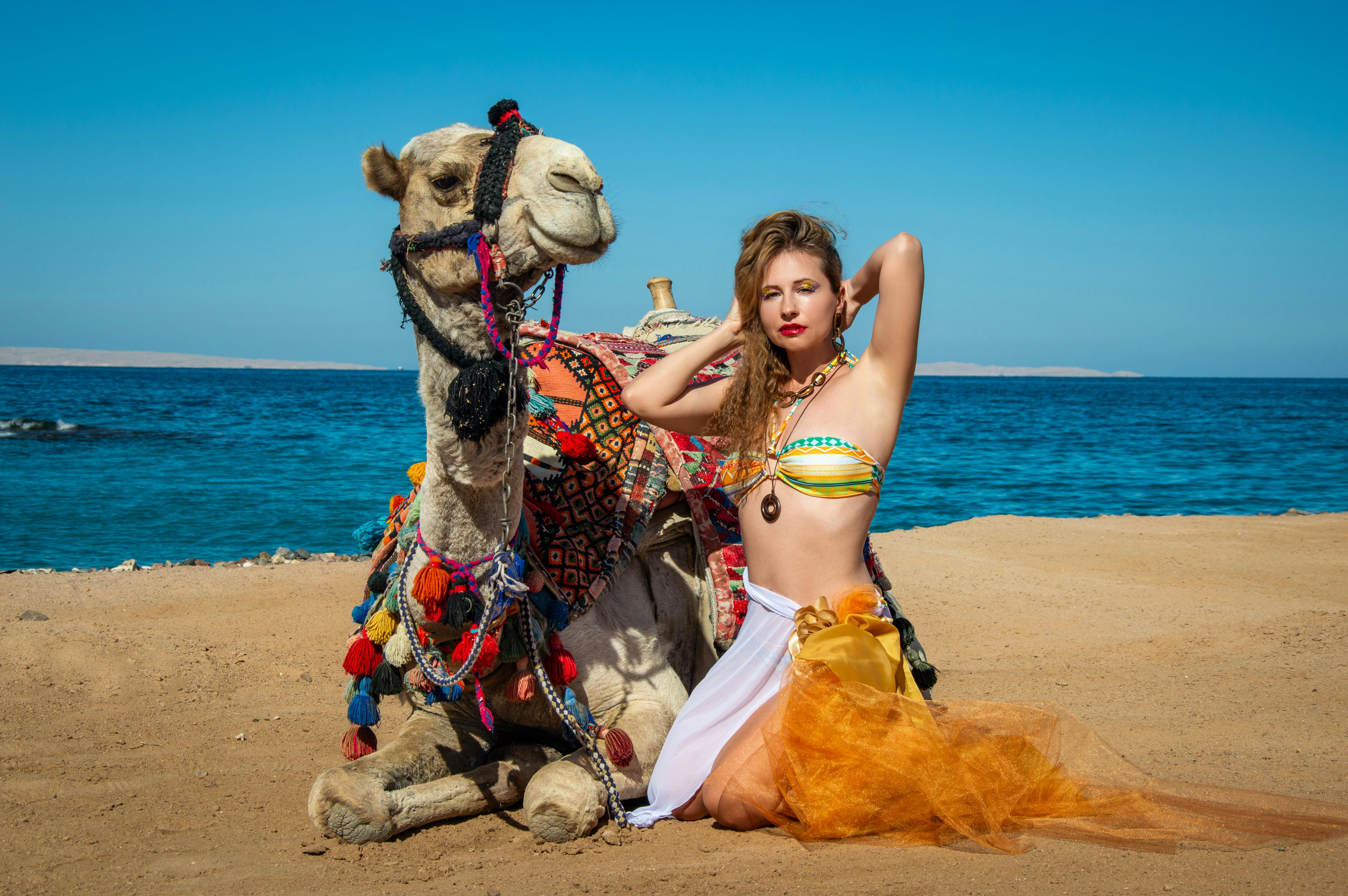elegant desert beach photoshoot with camel