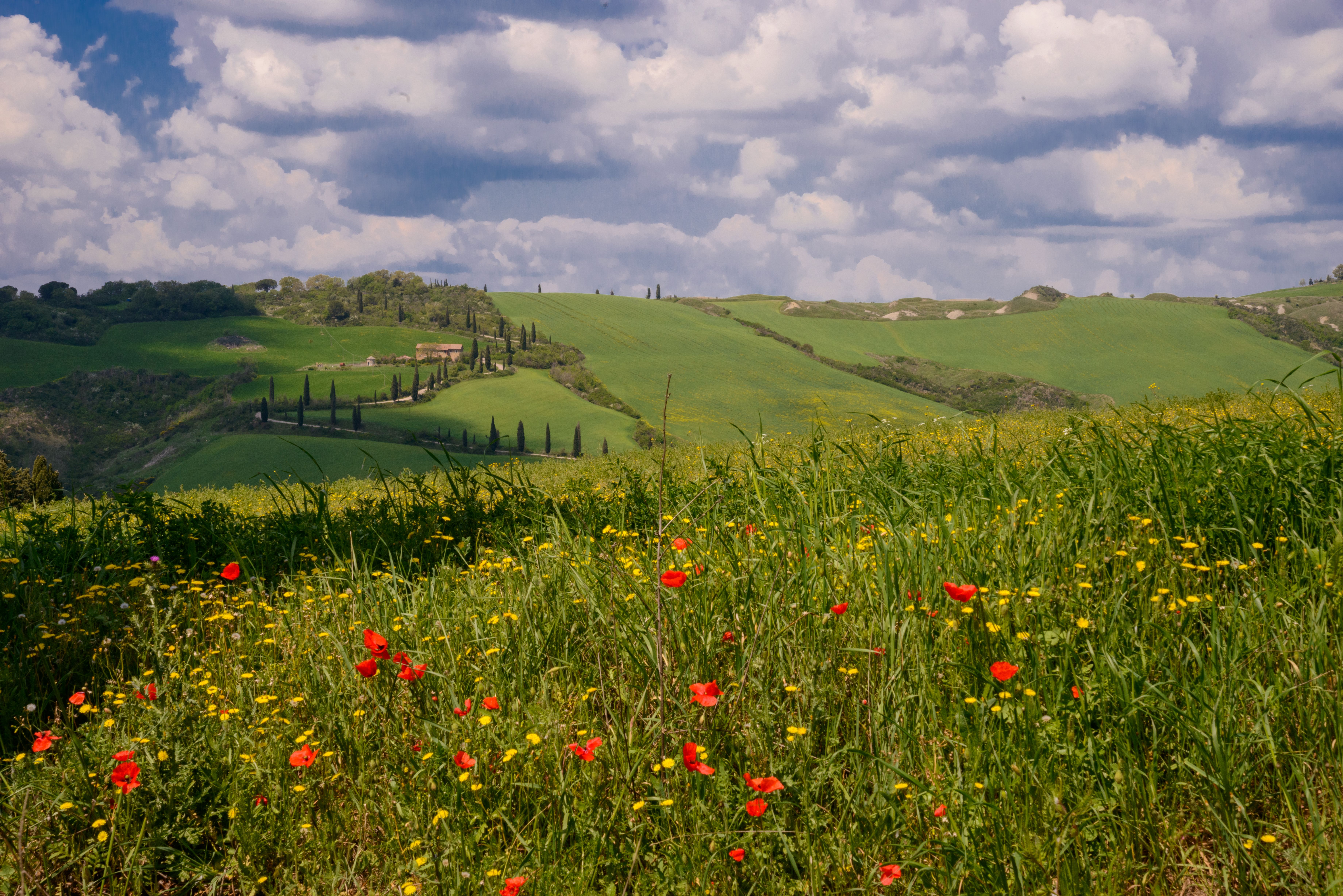 Toscanaanse velden in bloei onder lentezonneschijn 1