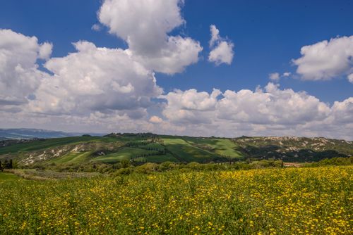 Free Idyllic view of green rolling hills and yellow flowers under a bright blue sky in Tuscany, Italy. Stock Photo