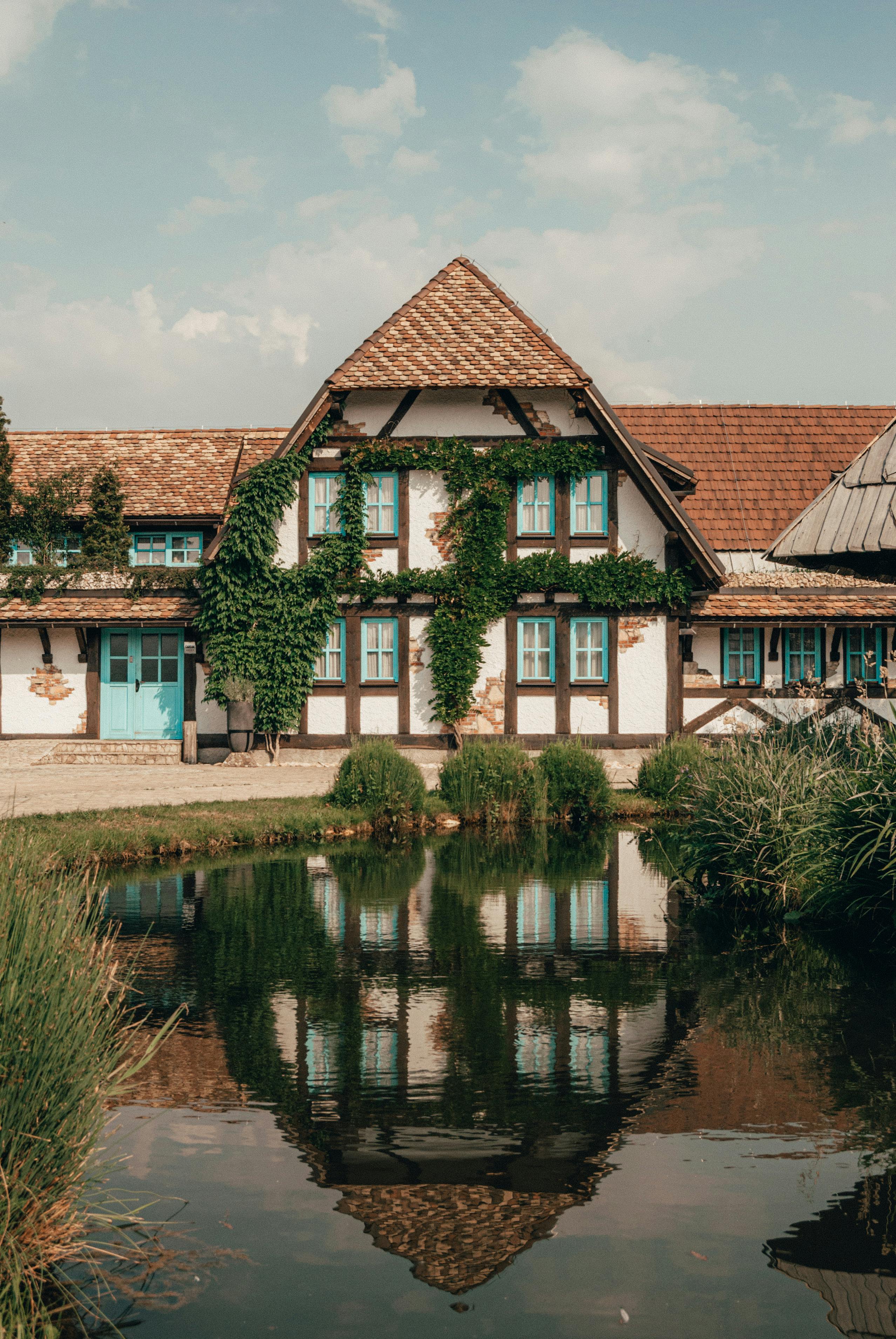 1977 A YEAR IN THE COLLECTIONS visual data 8