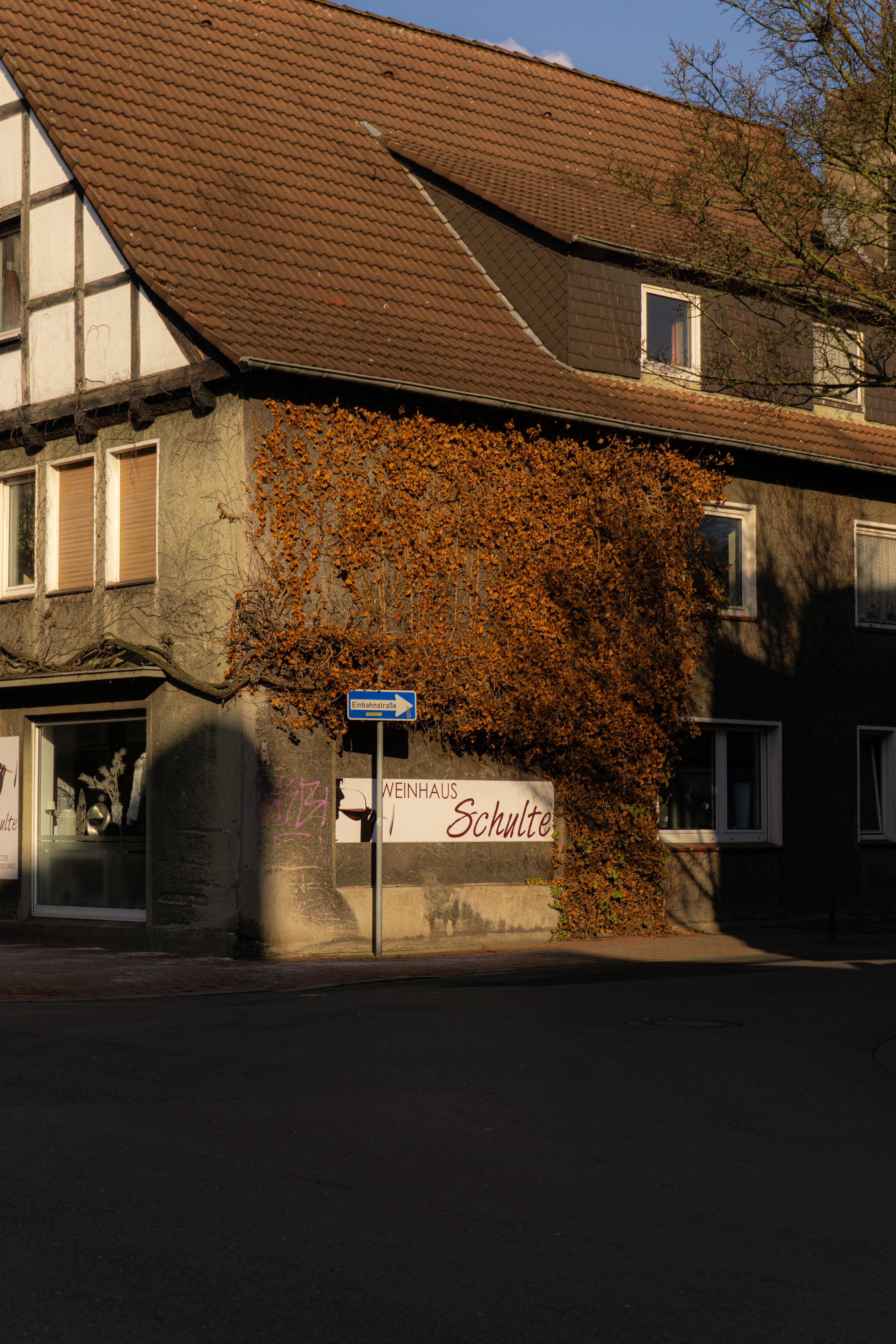 A picturesque building in Kamen, Germany, featuring ivy and golden light casting dramatic shadows.
