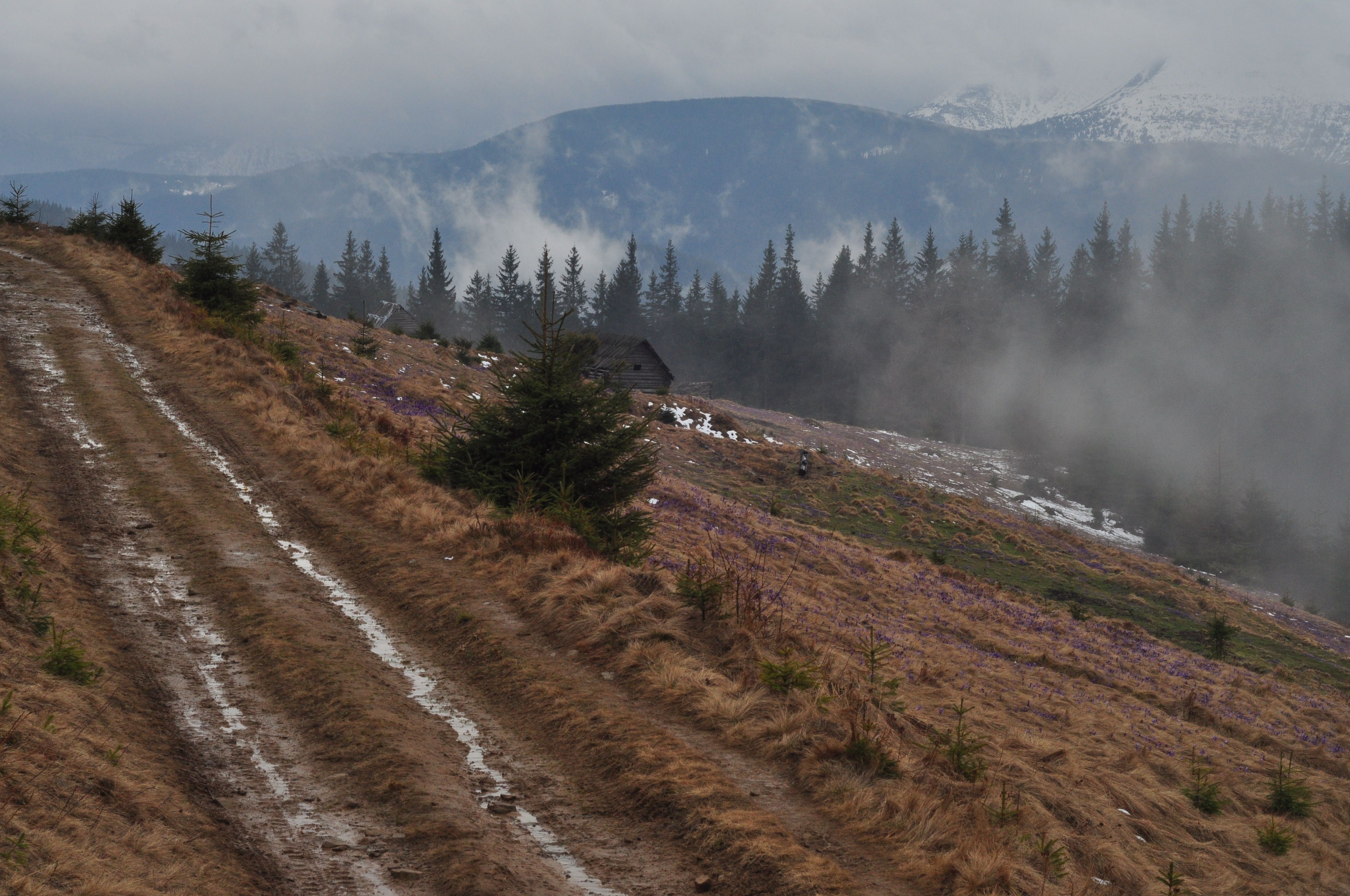 Rain Trail Photos, Download The BEST Free Rain Trail Stock Photos & HD ...
