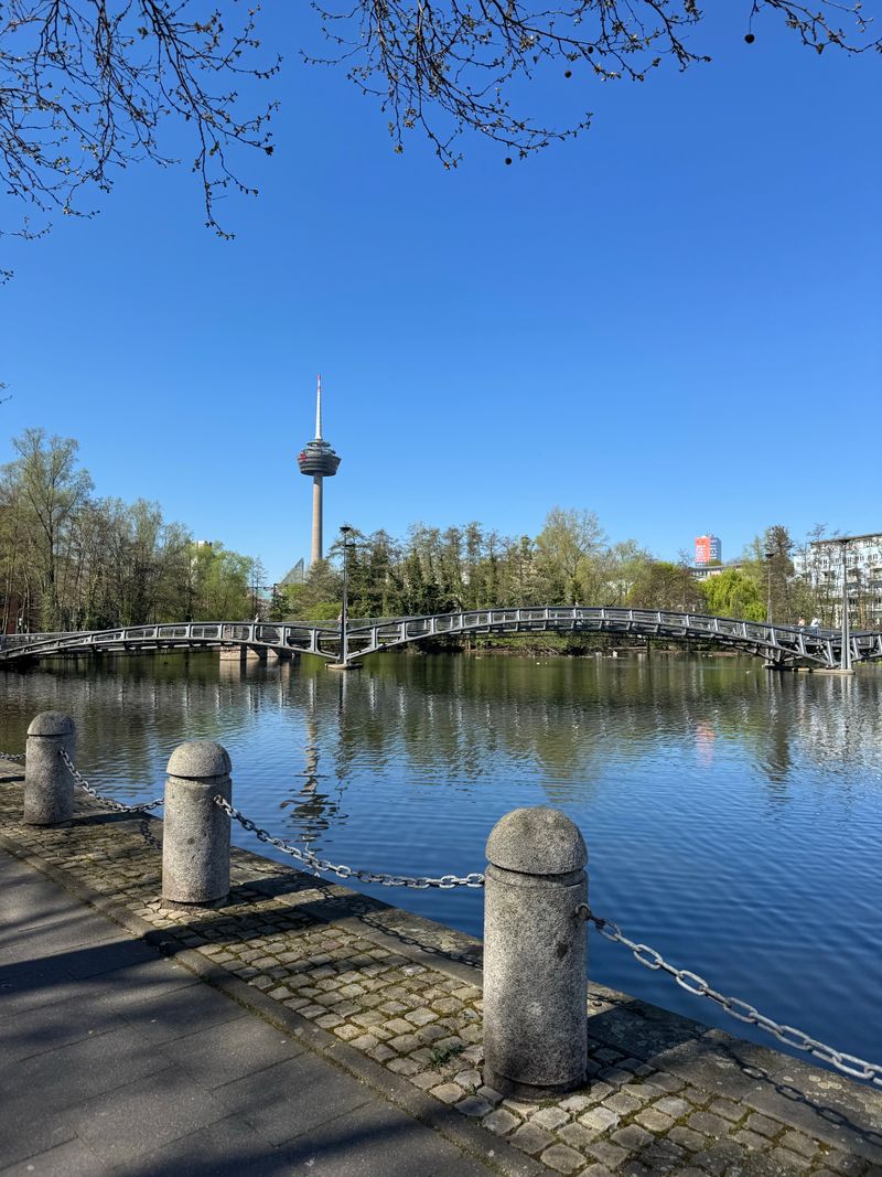 Rheinpark lake in Cologne with bridge and TV tower