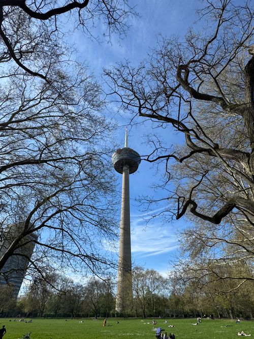 Free Cologne telecommunications tower rises amidst park trees on a sunny spring day. Stock Photo