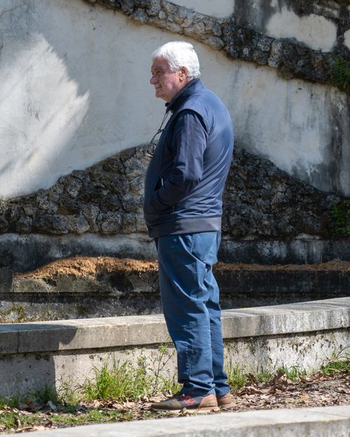 Free Parco Arese Borromeo Stock Photo