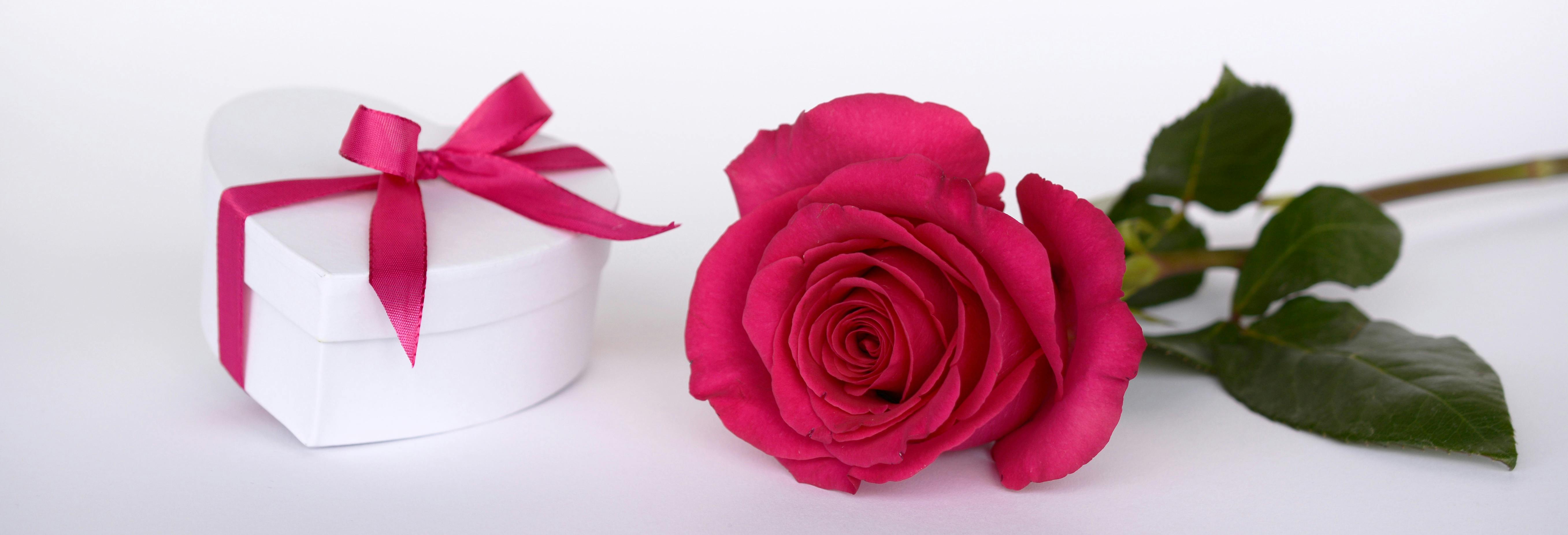 Paling Populer 26 Gambar  Bunga  Mawar Bentuk  Love Gambar  