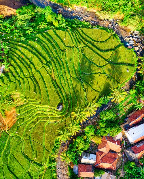 Free Stunning aerial view of vibrant rice terraces and village in West Java, Indonesia. Stock Photo