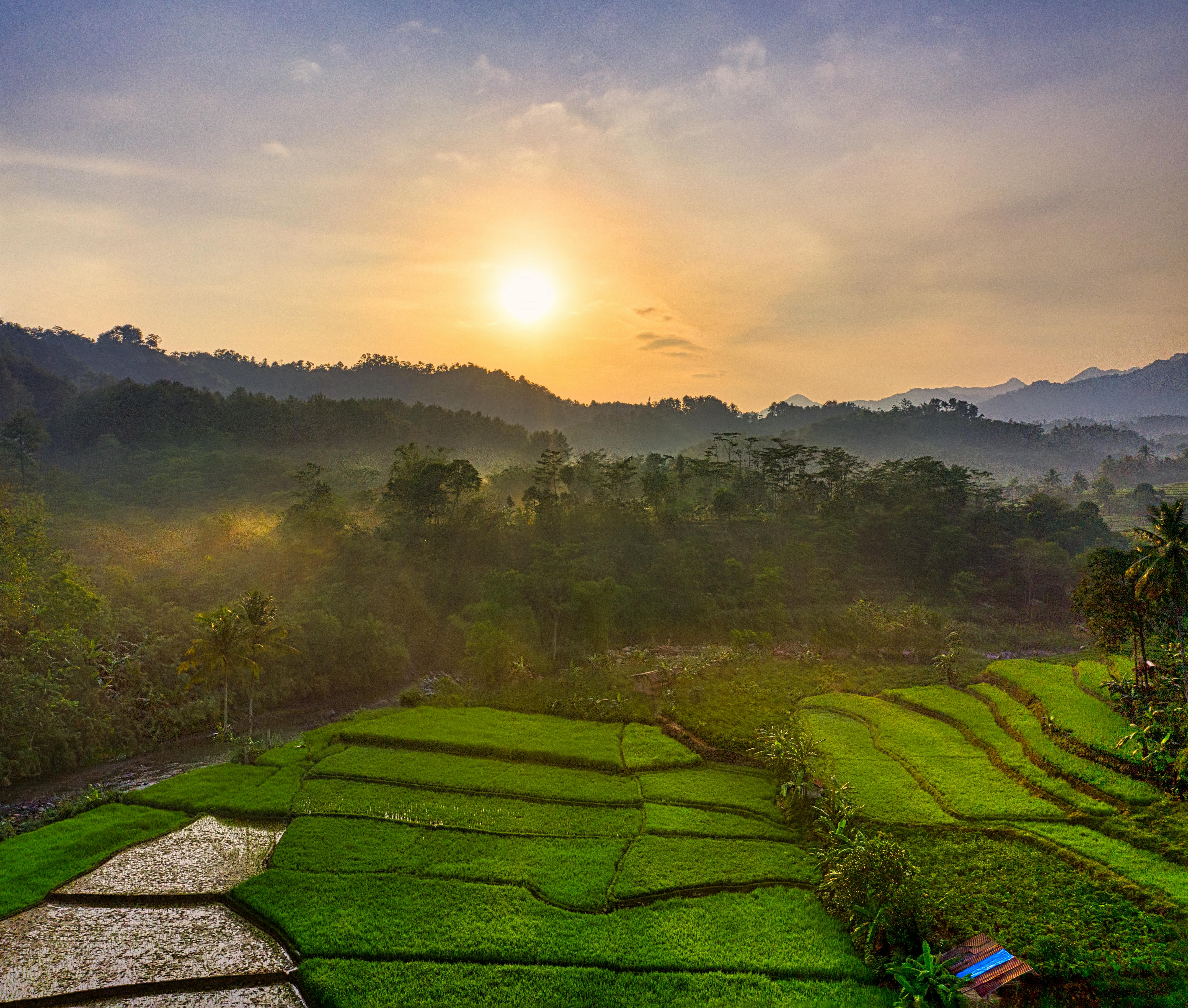 Does the sun make your eyes lighter or darker?