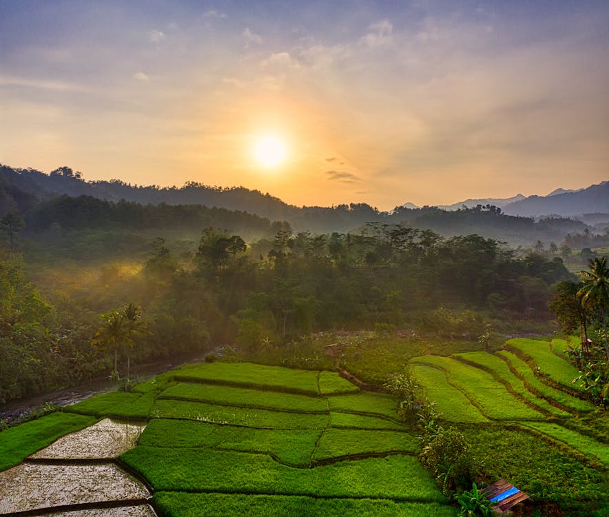 Green Ride Field and Sunset Mountain Scenery