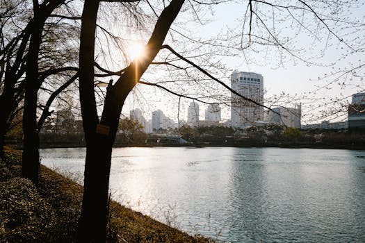 Urban skyline view through tree branches with sunlight reflecting on a tranquil river.