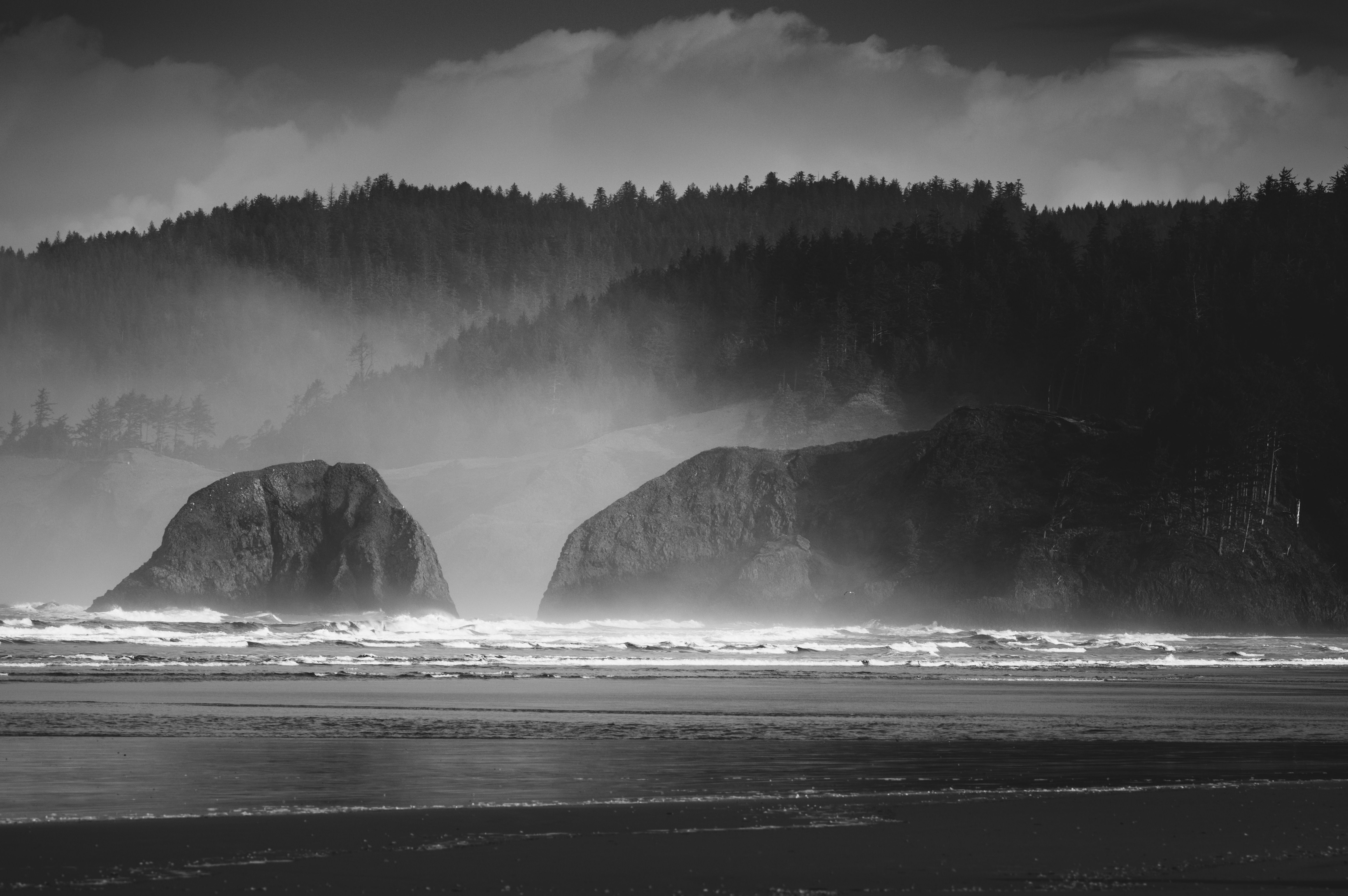 Dramatic Black and White Coastal Landscape · Free Stock Photo