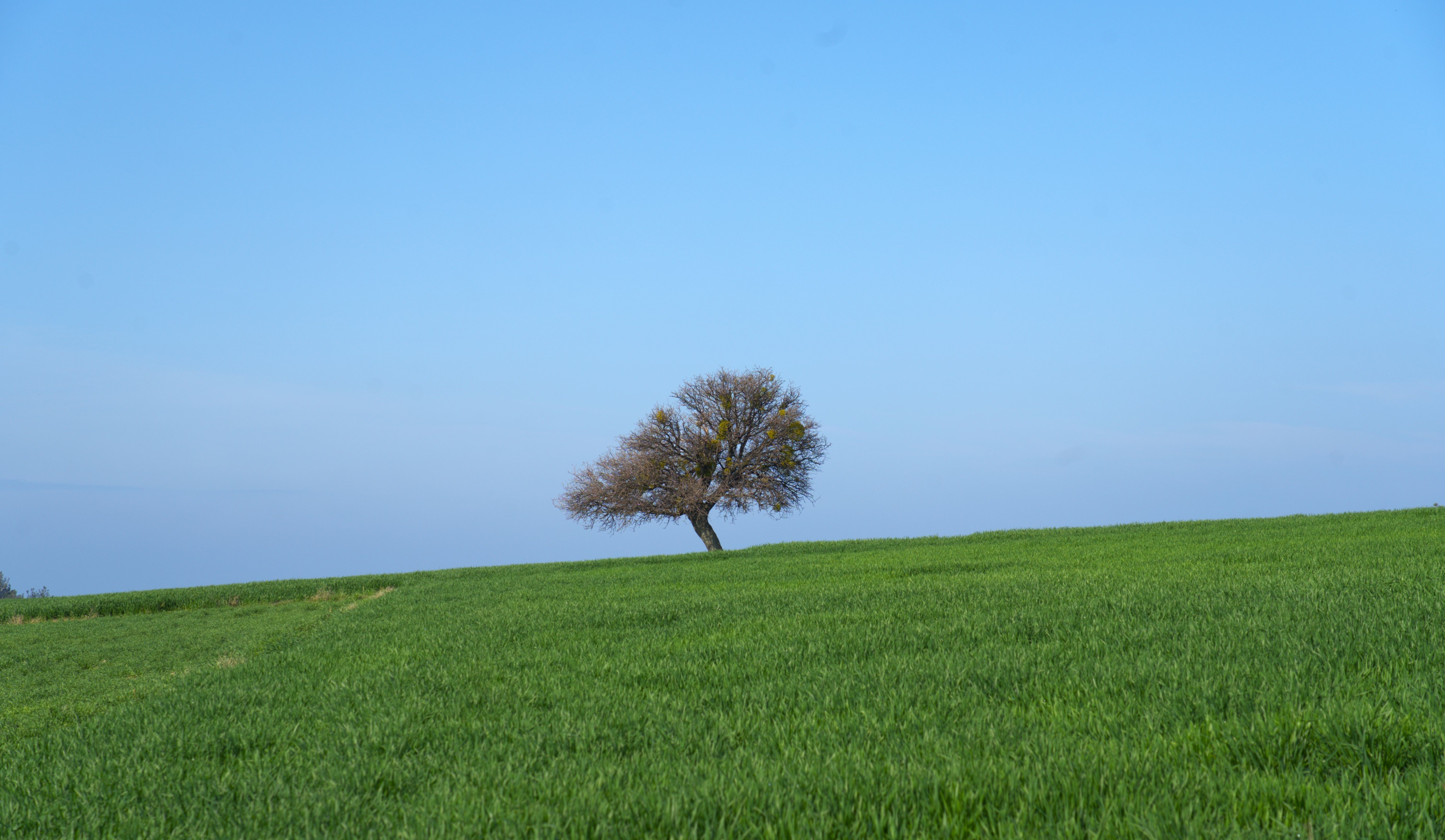 Simple farming photos download the best free simple farming stock