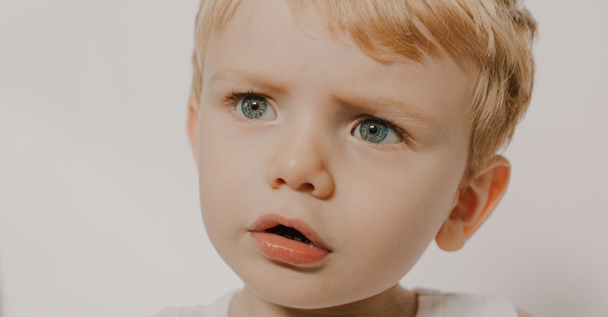 Simple Curious Expression Adorable Toddler with Curious Expression in Studio · Free Stock Photo
