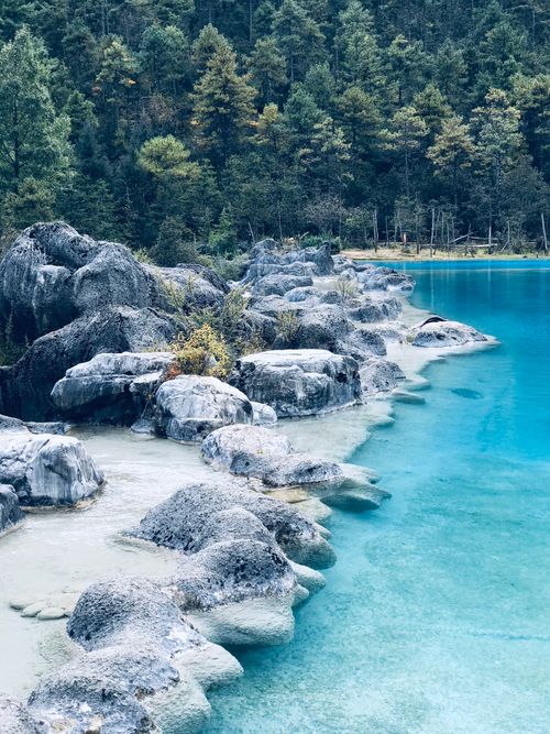 Free Serene landscape with vibrant blue water and rocky shoreline in a forest setting. Stock Photo