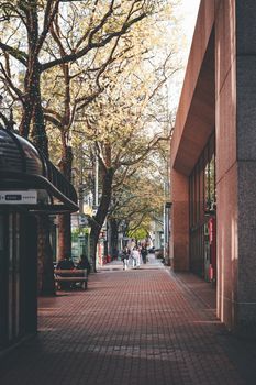 A peaceful tree-lined street in downtown Portland, Oregon, with people strolling.