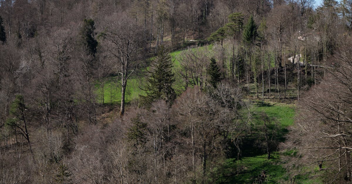 塔塔加三山新科技!登山步道裝流量計數器