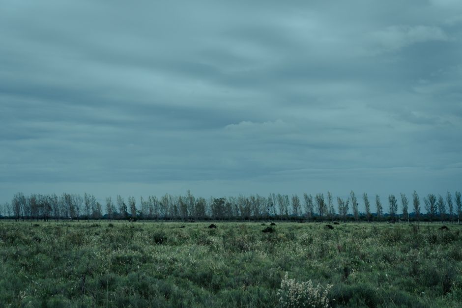 Fotomural Campo extenso con árboles bajo un dramático cielo nublado en Rosario, Argentina.